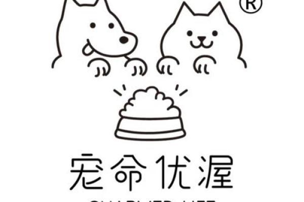 宠命优渥的命：解读宠爱与福气的真正含义