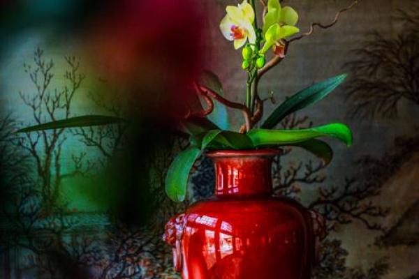 55岁以上的命运:智慧与收获的交响乐 55岁以上的命运:智慧与收获的交响乐