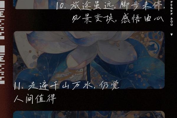 探索1999年9月6日出生者的命理奥秘与人生旅程