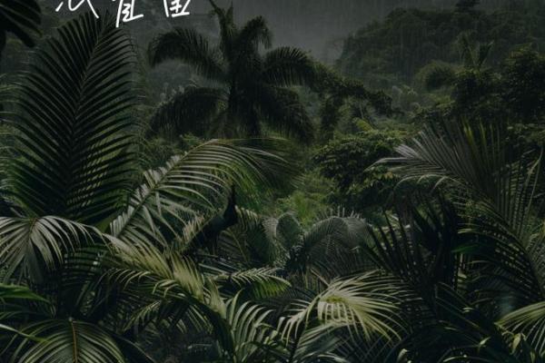 探索1999年9月6日出生者的命理奥秘与人生旅程