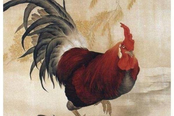 2019年鸡年命格解析：揭示你命中注定的财富与性格