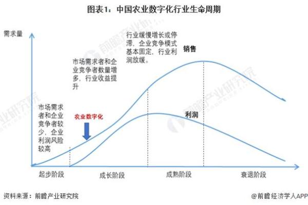 土命人适合从事的行业分析与建议
