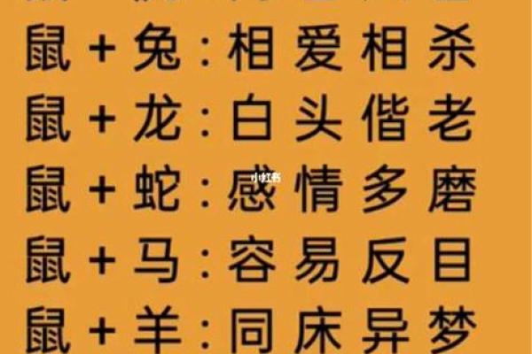1999年阴历出生的命理解析：命运与性格的奇妙联系