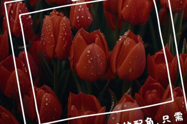 什么命什么高什么,让你的人生更精彩! 什么命什么高什么,让你的人生更精彩!