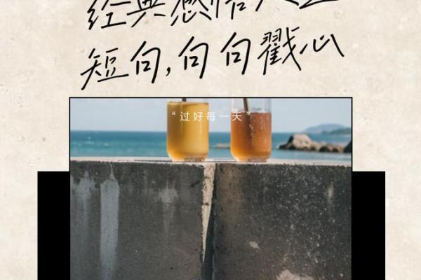 人生苦短，把握每一刻，享受生活的美好