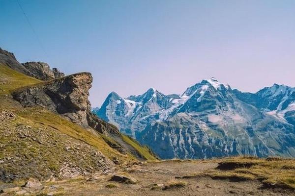 2021鼠牛年命运揭秘：鼠年与牛年交替下的人生变迁与机遇