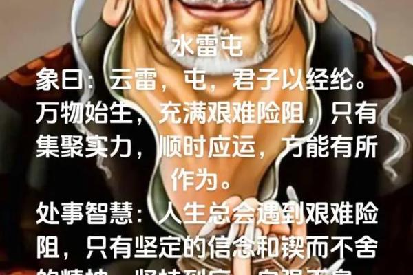 竹影摇曳，命运如竹，成语中的智慧与人生启示