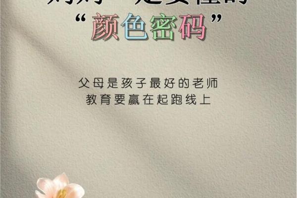 金龙命的色彩密码：揭示适合的颜色与命运的关系