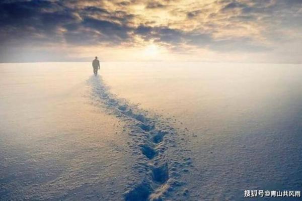 深入解读2017108的命运密码，揭示命理背后的智慧与启示