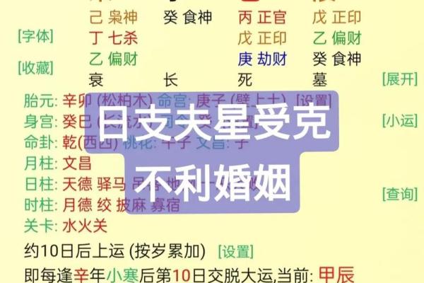 2024年命格解析:哪些八字在新的一年里会有好运? 2024年命格解析:哪些八字在新的一年里会有好运?
