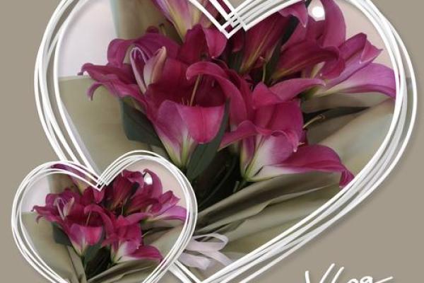 19901121出生的命运探索：揭示你的内在潜能与未来之路