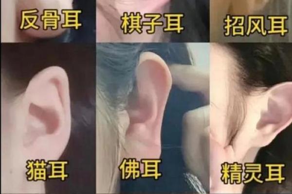 耳朵颜色与命运:你知道你的耳朵颜色代表着什么吗? 耳朵颜色与命运:你知道你的耳朵颜色代表着什么吗?