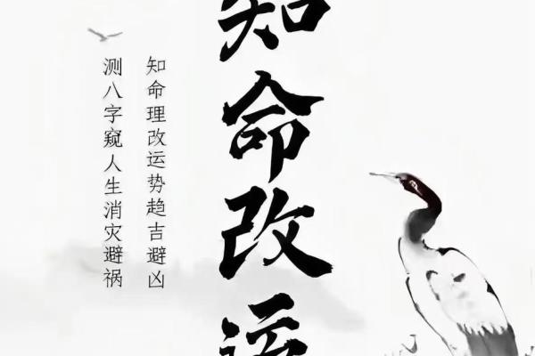 2012年命格解析：如何掌握人生方向与运势提升的秘诀