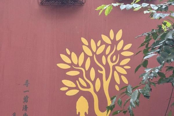 探秘2008年1月:命运与时光的交汇点 探秘2008年1月:命运与时光的交汇点