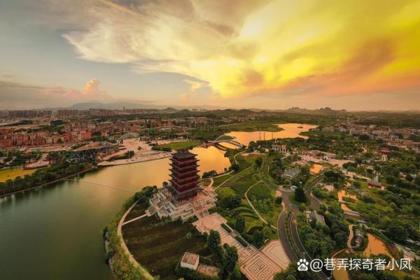 探秘2008年1月:命运与时光的交汇点 探秘2008年1月:命运与时光的交汇点