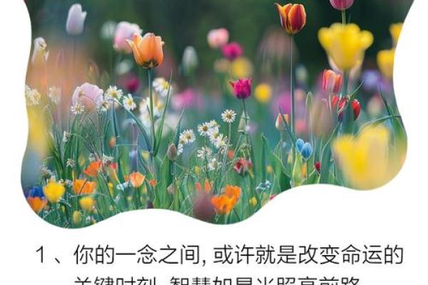 聪明命的女孩:如何通过智慧改变命运 聪明命的女孩:如何通过智慧改变命运