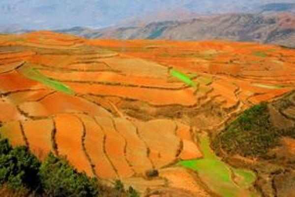 土命与火命的颜色搭配:探索自然与灵性的和谐之美 土命与火命的颜色搭配:探索自然与灵性的和谐之美