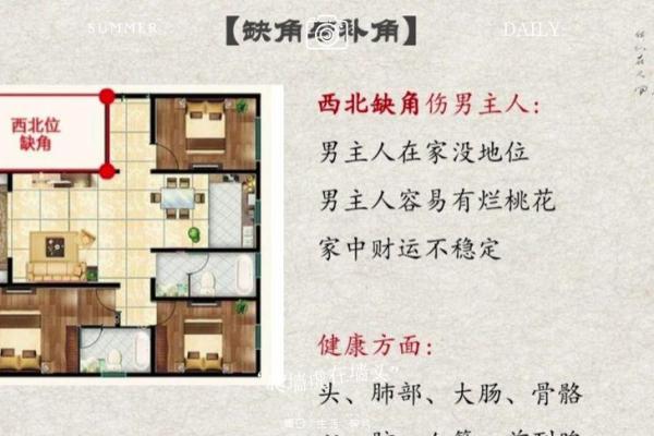 东四命解析:如何掌握你的命运与人生优势 东四命解析:如何掌握你的命运与人生优势