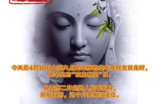 1976年龙年出生者的命运解析与人生智慧 1976年龙年出生者的命运解析与人生智慧