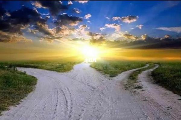 探索1985年11月25日出生的命理特征与人生轨迹 探索1985年11月25日出生的命理特征与人生轨迹