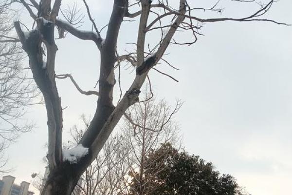 深入解析:坎命与兑命的内涵与启示 深入解析:坎命与兑命的内涵与启示