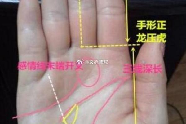 1990年出生的朋友：大龙命的智慧和运势解析