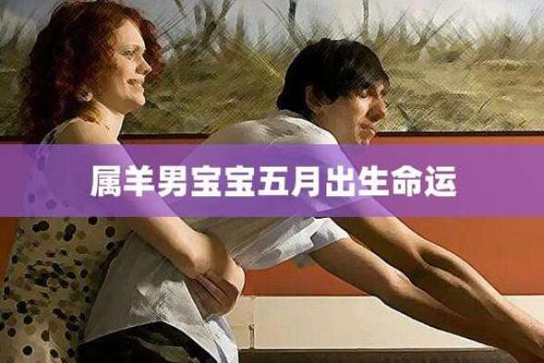 探索2005年出生羊的命运与性格特点