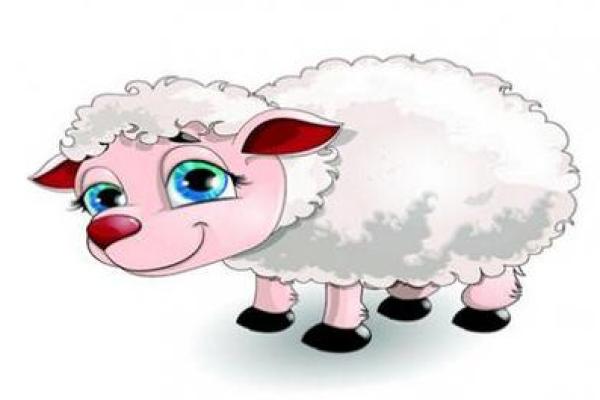 探索2005年出生羊的命运与性格特点