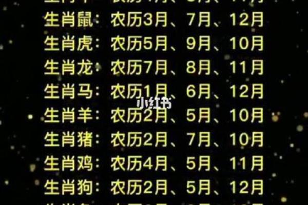 1996年属鼠的命与运势：揭秘鼠年人的生活智慧与未来展望