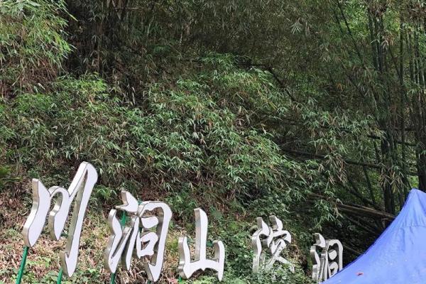 探索大海水命的颜色与含义:自然界的奇妙之旅 探索大海水命的颜色与含义:自然界的奇妙之旅