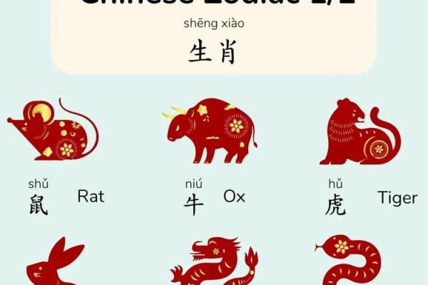 根据命名与生肖相成语的趣味探讨