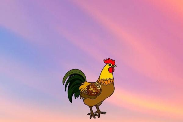 81年属鸡人命运分析:智慧与勤奋的结合! 81年属鸡人命运分析:智慧与勤奋的结合!