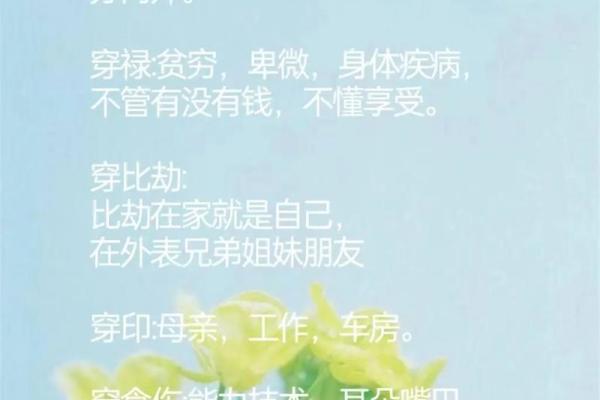 探秘女人428命理：赋予女性的独特命运与人生智慧