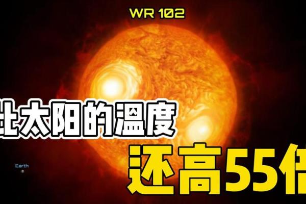 探索饿金命与饿水命的奥秘与应用：如何提升生活品质？