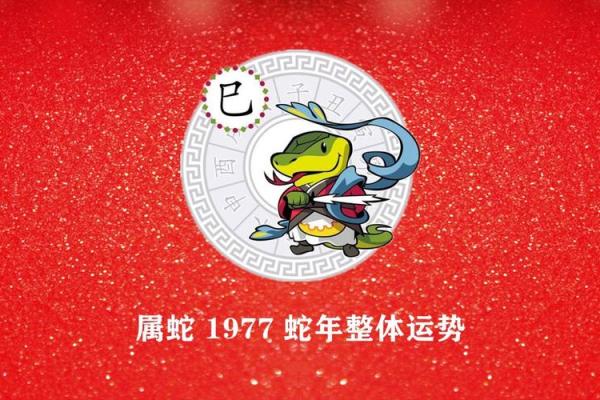 2016年蛇年运势详解:生肖蛇命理解析与生活指南 2016年蛇年运势详解:生肖蛇命理解析与生活指南