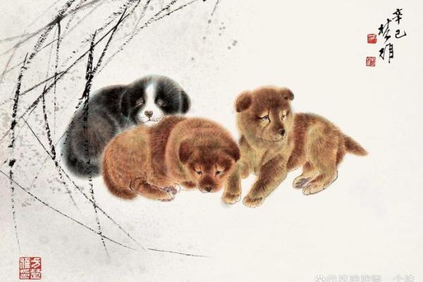 属狗2006年出生的人：忠诚与智慧的完美结合