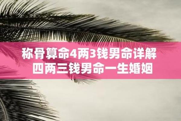 四两一钱男命：解析命理与人生的深刻联系
