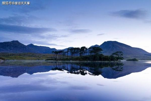 水命属虎：命里缺什么，如何提升自己的运势？