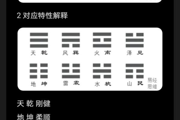 探秘女命八字：水木火命的命理奥秘与生活启示