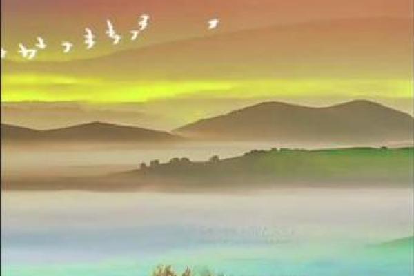 2026年属水命解析:解读人生十字路口的水元素力量 2026年属水命解析:解读人生十字路口的水元素力量