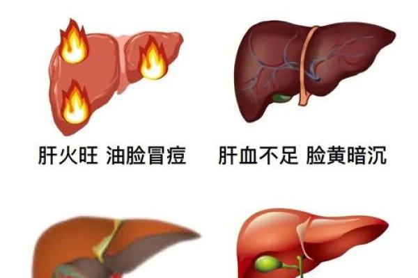 严查杀命养命的隐患:揭示健康生活之道的重要性 严查杀命养命的隐患:揭示健康生活之道的重要性