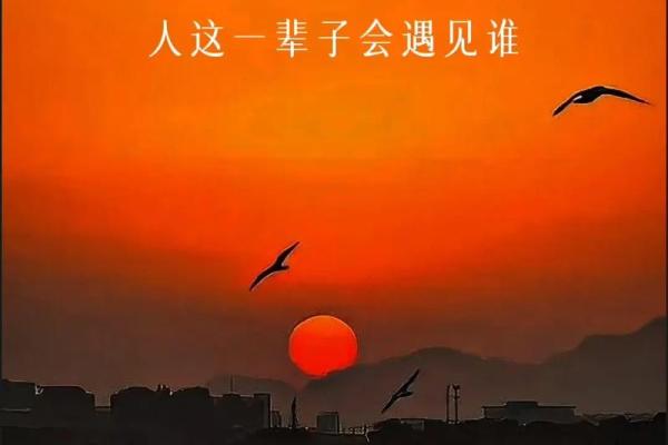 双手对称,命中注定:探索人与命运的关系 双手对称,命中注定:探索人与命运的关系