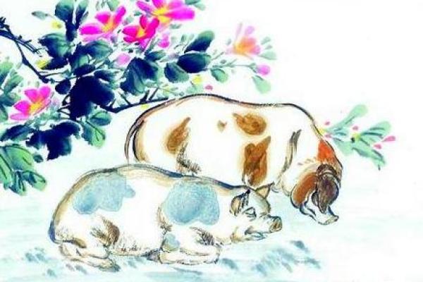 2007年属猪人的命运解析与生活智慧 2007年属猪人的命运解析与生活智慧