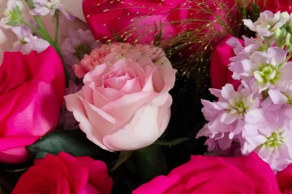 1998年腊月的记忆：那年冬天的温暖与感动