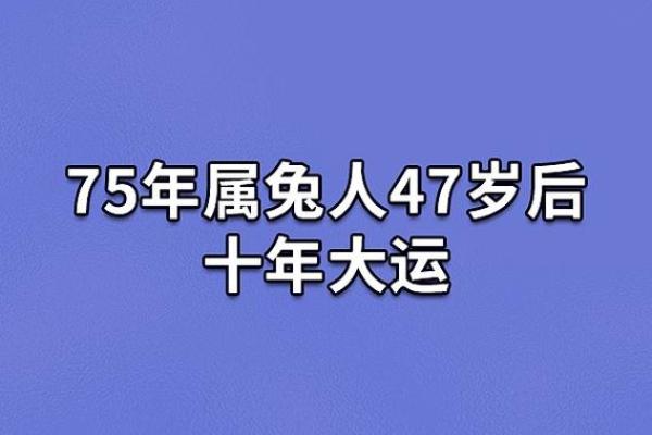 2011年兔年的命运分析:兔年出生者的性格与运势探讨 2011年兔年的命运分析:兔年出生者的性格与运势探讨