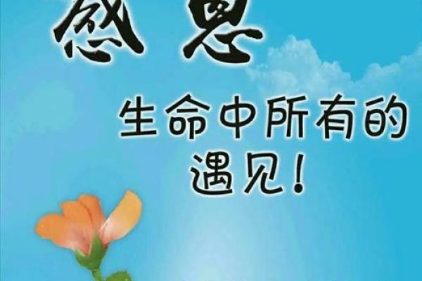 双手对称,命中注定:探索人与命运的关系 双手对称,命中注定:探索人与命运的关系