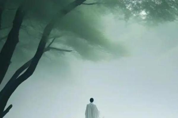 月劫格女命的爱情理想:配什么样的男命最佳? 月劫格女命的爱情理想:配什么样的男命最佳?