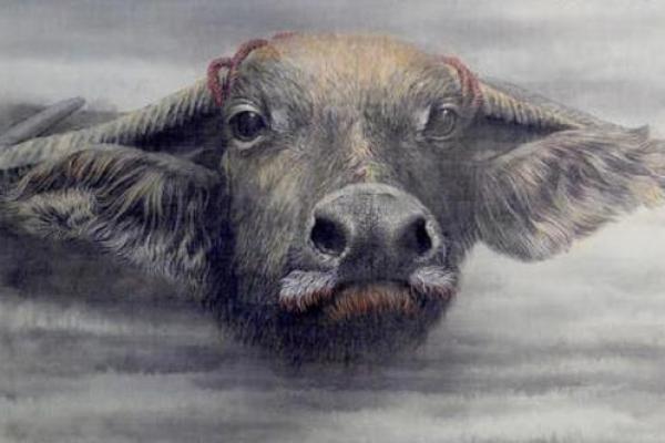 1949年属牛人的命运与性格解析 1949年属牛人的命运与性格解析