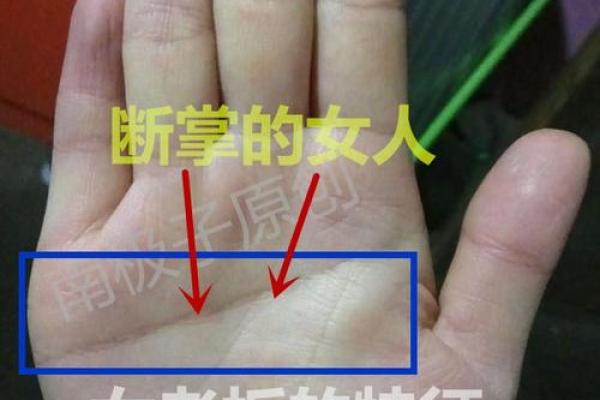 叉川金命与和谐财运的完美结合之道 叉川金命与和谐财运的完美结合之道