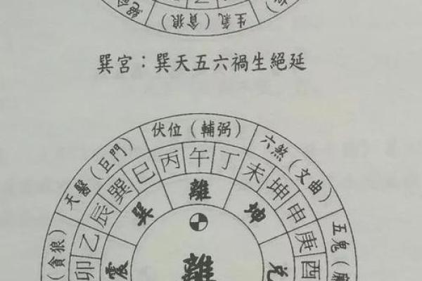 探秘命理学：西四命与东四命的奥秘解析